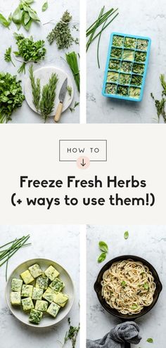 Freezing Herbs