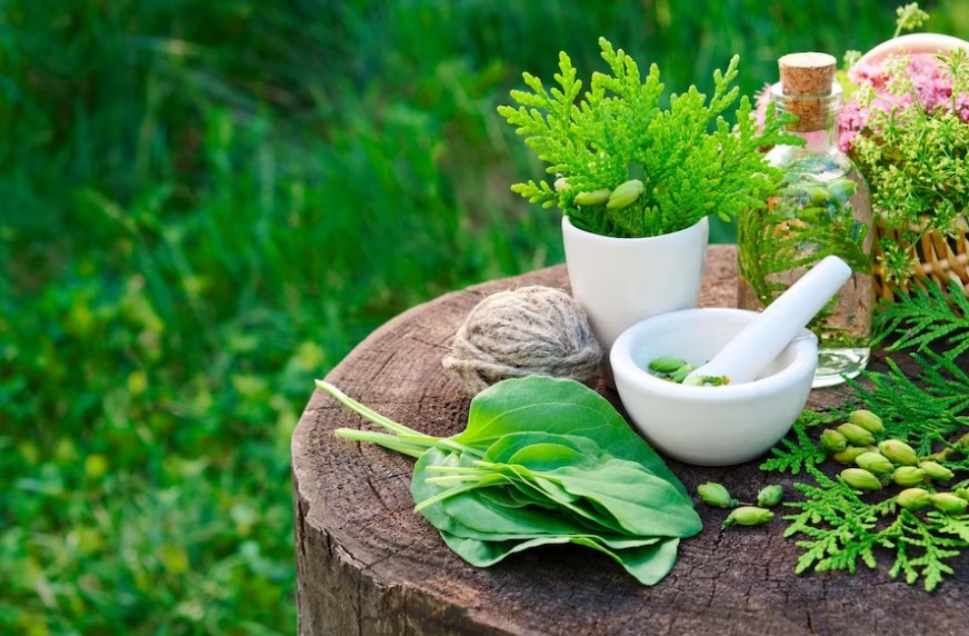 Fresh Garden Herbs