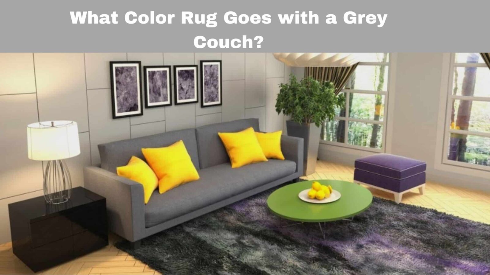 What Color Rug Goes with a Grey Couch