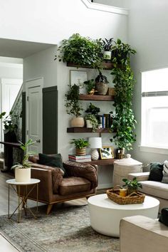 Decorating Your Home With Plants