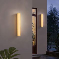 Electric Allegheny Indoor/outdoor Sconce