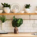 Kitchen Houseplants