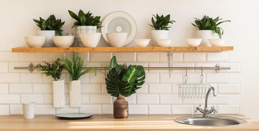 Kitchen Houseplants