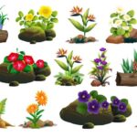 Best Rock Garden Plants