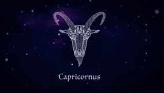 Capricorn (december 22 To January 19)